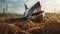 Meticulous Photorealistic Still Life: Shark Grazing In Field