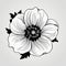 Meticulously Detailed Black And White Anemone Flower Vector Illustration