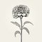 Meticulously Detailed Black And White Flower Illustration With Vintage Charm