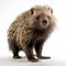Meticulously Detailed Porcupine In Unreal Engine: Explosive Pigmentation And Playful Character Designs