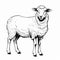 Meticulously Detailed Sheep Sketch Drawing On White Background