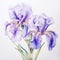 Meticulously Detailed Watercolor Painting Of Iris Blooms