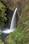 Metlako Falls in Spring