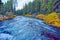 The Metolius River with fall colors in Central Oregon