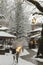 Metsovo city snow and ice in winter season, greek winter tourist resort in ioannina perfecture