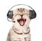 Mewing kitten with phone headset. on white background