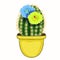 The Mexican cactus flowering in a pot. vector illustration