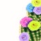 The Mexican cactus flowering with thorns. vector illustration