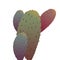 Mexican cactus violet pink green colors