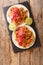 Mexican Cochinita pibil is an easy braised pork dish served with tortilla and pickled onion closeup on the table. Vertical top