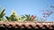 Mexican colonial style suburban, hispanic house exterior, green lush garden, San Diego, California USA. Mediterranean terracotta