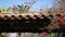 Mexican colonial style suburban, hispanic house exterior, green lush garden, San Diego, California USA. Mediterranean terracotta