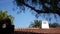 Mexican colonial style suburban, hispanic house exterior, green lush garden, San Diego, California USA. Mediterranean terracotta