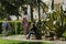 Mexican courtyard in landscape park Aivazovsky Park Paradise in Partenit. Tourists near beautiful striped leaves American agave