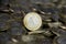 Mexican currency in the foreground, between more coins