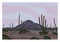 Mexican desert landscape concept. Mountain, rocks and cactuses sunset