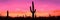 Mexican desert sunset