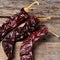 Mexican dried guajillo pepper on wooden background