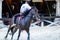 Mexican equestrian with a magnificent exhibition of the running lasso changing position on an Aztec horse of great lineage.