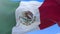 Mexican flag