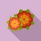 Mexican flowers icon, flat style