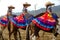 Mexican girls on horseback