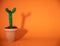 Mexican green cactus, orange background