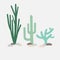 Mexican green pastel cactus set. Desert spiny plant. Flora isolated vector icons collection