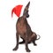 Mexican hairless dog xoloitzcuintli with red christmas hat cover eyes. isolated on white background