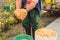 Mexican indigenous woman preparing the traditional nixtamal made of white corn