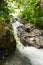 Mexican jungle cascades