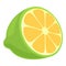 Mexican lime icon cartoon vector. Tequila lemon