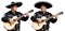 Mexican musician mariachi.