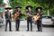 Mexican musicians in traditional costumes mariachi