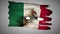 Mexican perforated, burned, grunge waving flag loop alpha