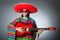 The mexican playing guitar wearing sombrero