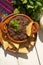 Mexican refried beans with totopos on white background