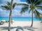 Mexican Riveria beach on sunny day with beautiful clouds and palm trees with shadow on sand - swimmers in ocean and lounging and