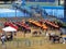 Mexican show of women on horseback