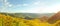 Mexican Sunflower Field Panorama