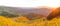 Mexican Sunflower Field Panorama