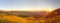 Mexican Sunflower Field Panorama