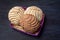 Mexican sweet bread: vanilla and chocolate conchas on dark background