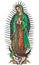 Mexican Virgin of Guadalupe - color vector