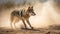 Mexican Wolf\\\'s Playful Frolic in the Desert