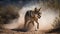 Mexican Wolf\\\'s Playful Frolic in the Desert
