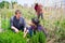 Mexican woman and man gardener working with greens