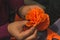 Mexican women cutting strips of orange paper to make cempasuchil flowers for the Day of the Dead offerings