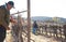 Mexican worker trimming wine crops in Valle de Guadalupe