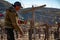 Mexican worker trimming wine crops in Valle de Guadalupe